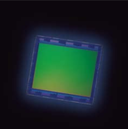 New 4/3-type Sensor for Beautiful Bokeh Effects and 4K Resolution