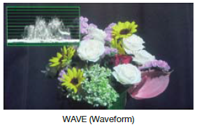 LCD/EVF Displays That Assist Shooting